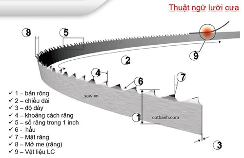 thuat-ngu-luoi-cua-vong-(1).jpg